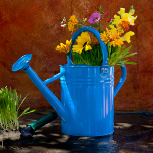 Spring Staging