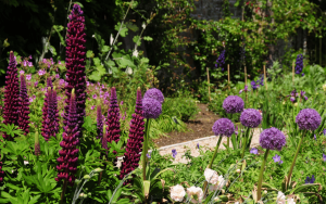 Why you should not neglect your garden.